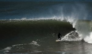 Local Surfer